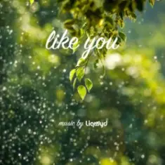 LiQWYD — Like You