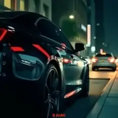 X ALBO — NOT AFRAID