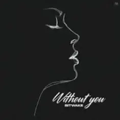 Bitwake — Promises