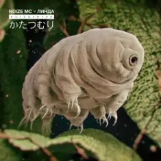 Noize MC — Катацумури