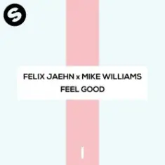 Felix Jaehn x Mike Williams — Feel Good