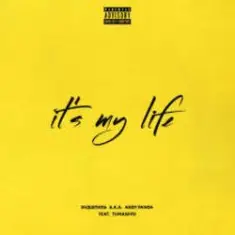 Эндшпиль feat. TumaniYO — It's My Life