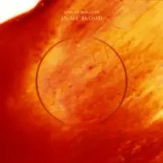 AVALAN ROKSTON — In My Blood