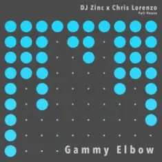 Dj Zinc — Gammy Elbow