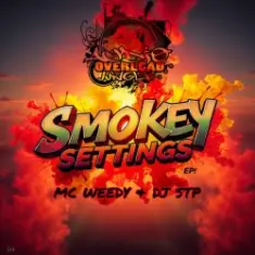 Dj Stp & Mc Weedy — Dirty Shades Of Clean