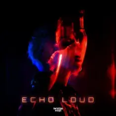Twist3d Boys — Echo Loud