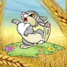 Ансамбль Проміньчик — Ой на горi жито