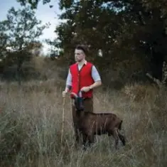 Baby Lasagna — Rim Tim Tagi Dim