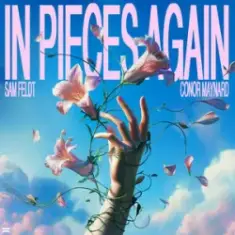 Sam Feldt & Conor Maynard — In Pieces Again