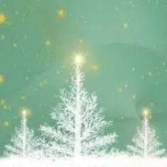 Sting Dolbry — White Christmas