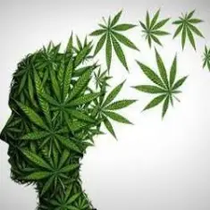 Crazy FM — On Line