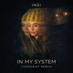 INDI — In My System