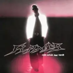 Robin Schulz & Bandit — Flames