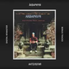 Аквариум — Кострома Mon Amour