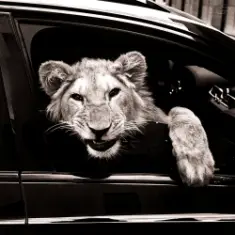 MACAN & Kiliana — Спокойной ночи