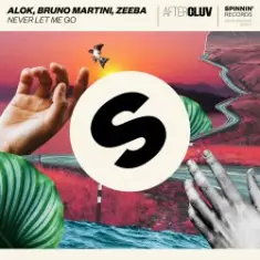 Alok, Bruno Martini, Zeeba — Never Let Me Go (Extended Mix)