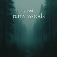 eyfect — rainy woods