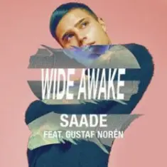 Wide Awake (feat. Gustaf Noren)