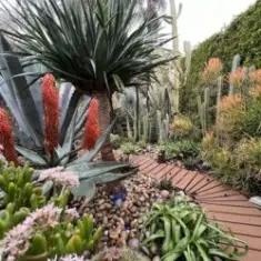 Echo Gardens — Den nich