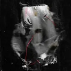 Культурное Наследие, Стереополина, Твин Пикс — Все поезда к тебе