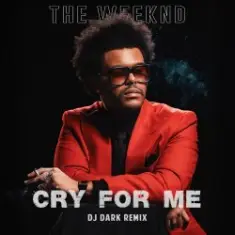 The Weeknd — Cry For Me (Dj Dark Remix)