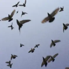 хтось когось