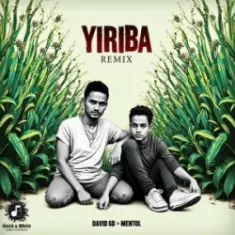 David 6D & Mentol — Yiriba (Remix)