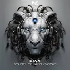 Bixx — Do The Right Thing