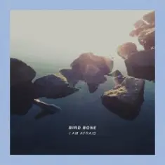 Bird Bone — Knife For My Wife