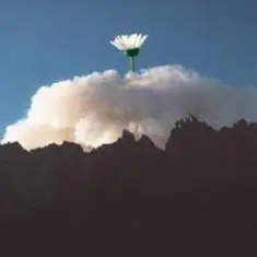 25/17 & Ёлка — Любовь во время чумы