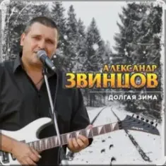 Александр Звинцов — Долгая Зима