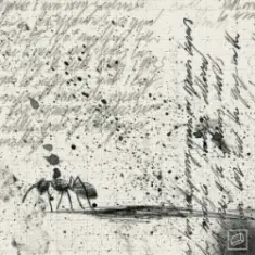 Jolliffe & Kublai & Verbz — Frames