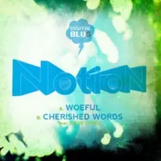 Notion — Woeful