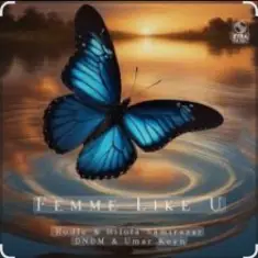 Rodle & Hilola Samirazar & Dndm Ft Umar Keyn — Femme Like U
