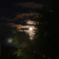 ALEKCION — Ніч кохання