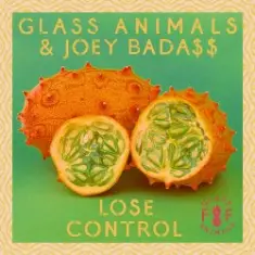 Glass Animals — Lose Control