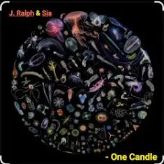J. Ralph & Sia — One Candle