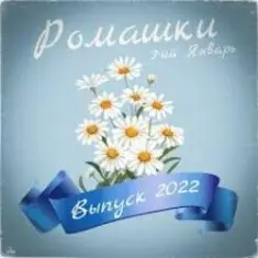 3-ий Январь — Ромашки