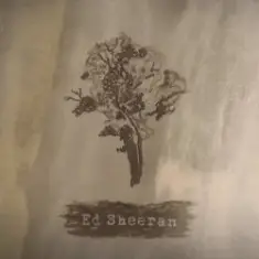 Ed Sheeran — Bloodstream