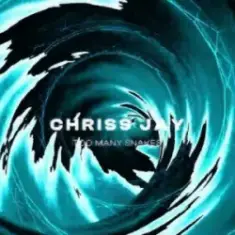 Chriss Jay — Too Many Snakes