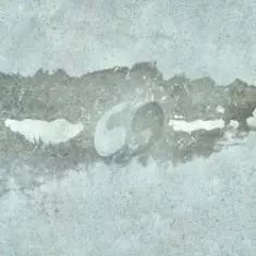 ssshhhiiittt! — Сухоцвет