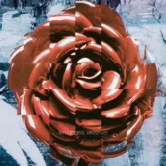 NAQT VANE — Beautiful Mess - NV