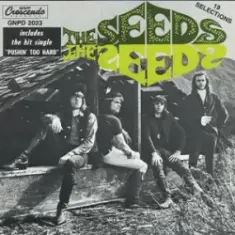 The Seeds — Can't Seem To Make You Mine