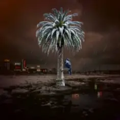 TATOKATUSI — HOBOPI4HI T.