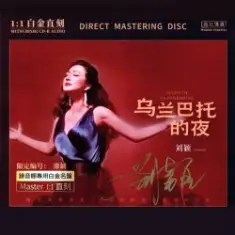 Liu Ying — Moscow Suburbs At Night