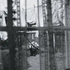 Paul McCartney — English Tea