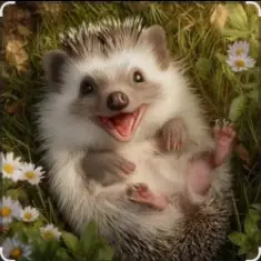 Настоящий Мужчина — Эй с*чка ты колючая колючка