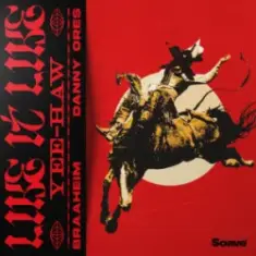 Braaheim & Danny Ores — Like It Like (Yee-Haw)