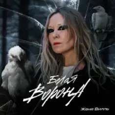 Женя Вилль — Залетаем В Новый Год