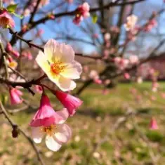 Сергей Видов — Весна